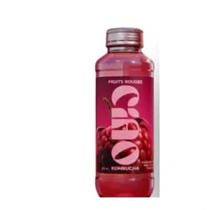 Photo d’une bouteille de kombucha
